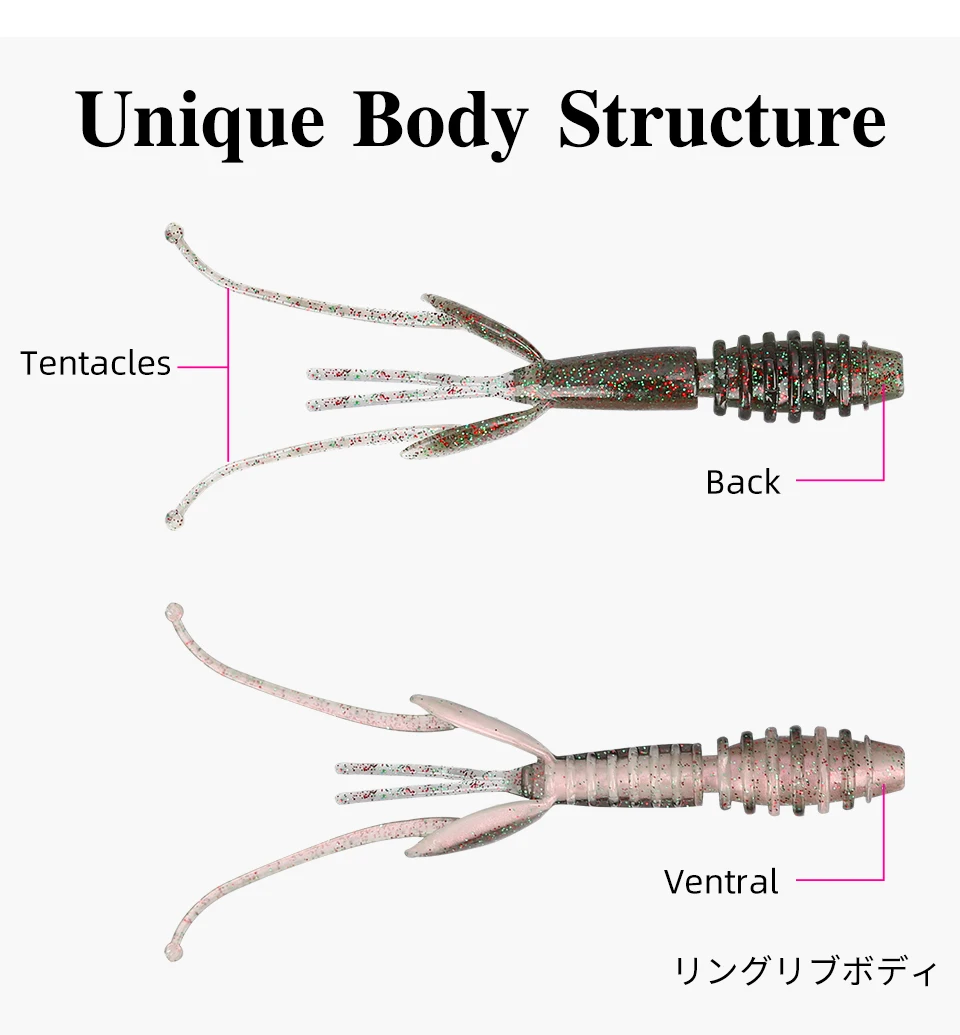 Vista superior del señuelo mostrando la estructura