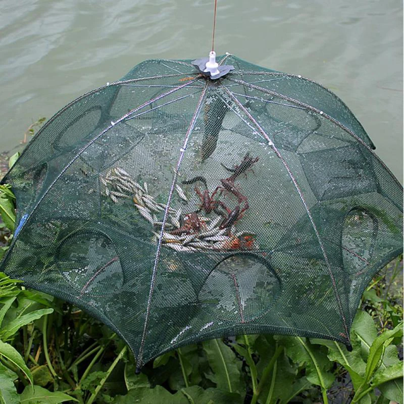 Nasa para cangrejos de río – Plegable con aro y malla - imagen 3