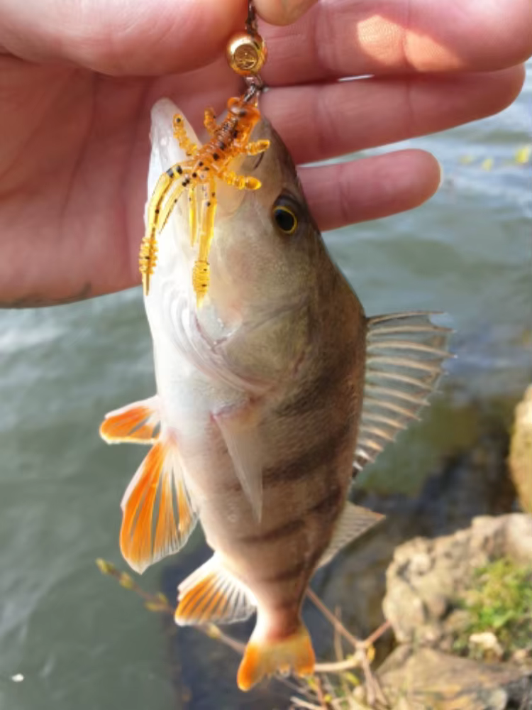Esfishing Cangrejo – Señuelo para pesca en hielo - imagen 5
