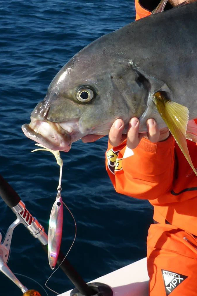Countbass Señuelos jigging deslizantes metal para agua salada y pargo - imagen 4