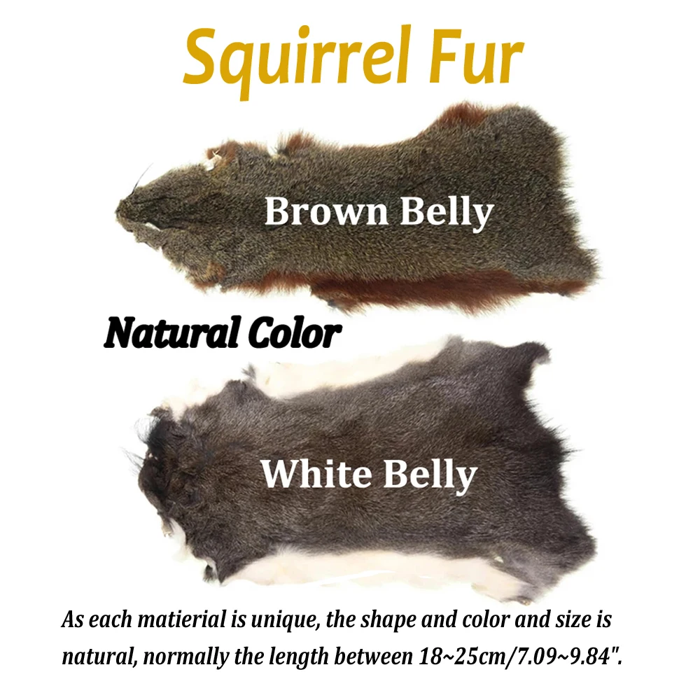 Variedad de colores de doblaje de ardilla