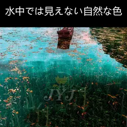 Sedal Monofilamento Japonés – Alta resistencia para pesca en roca