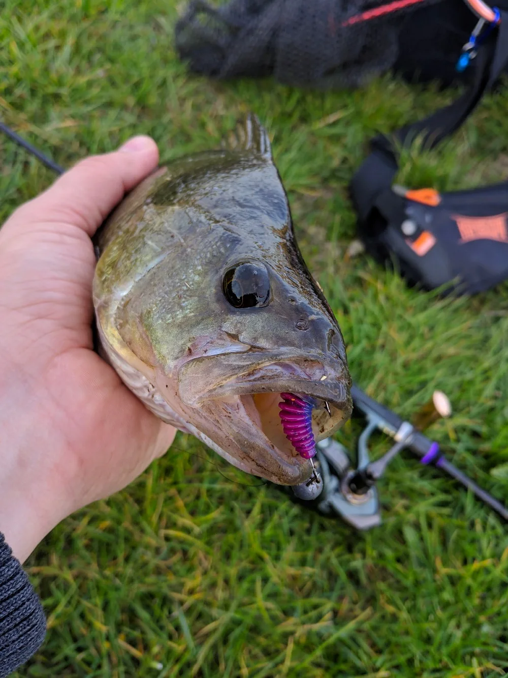 Cebo de gusano Supercontinent en colores variados para pesca