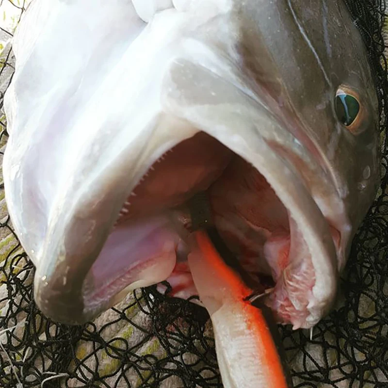 Hunthouse Barre T señuelo Minnow para lucio – brillo fácil - imagen 2