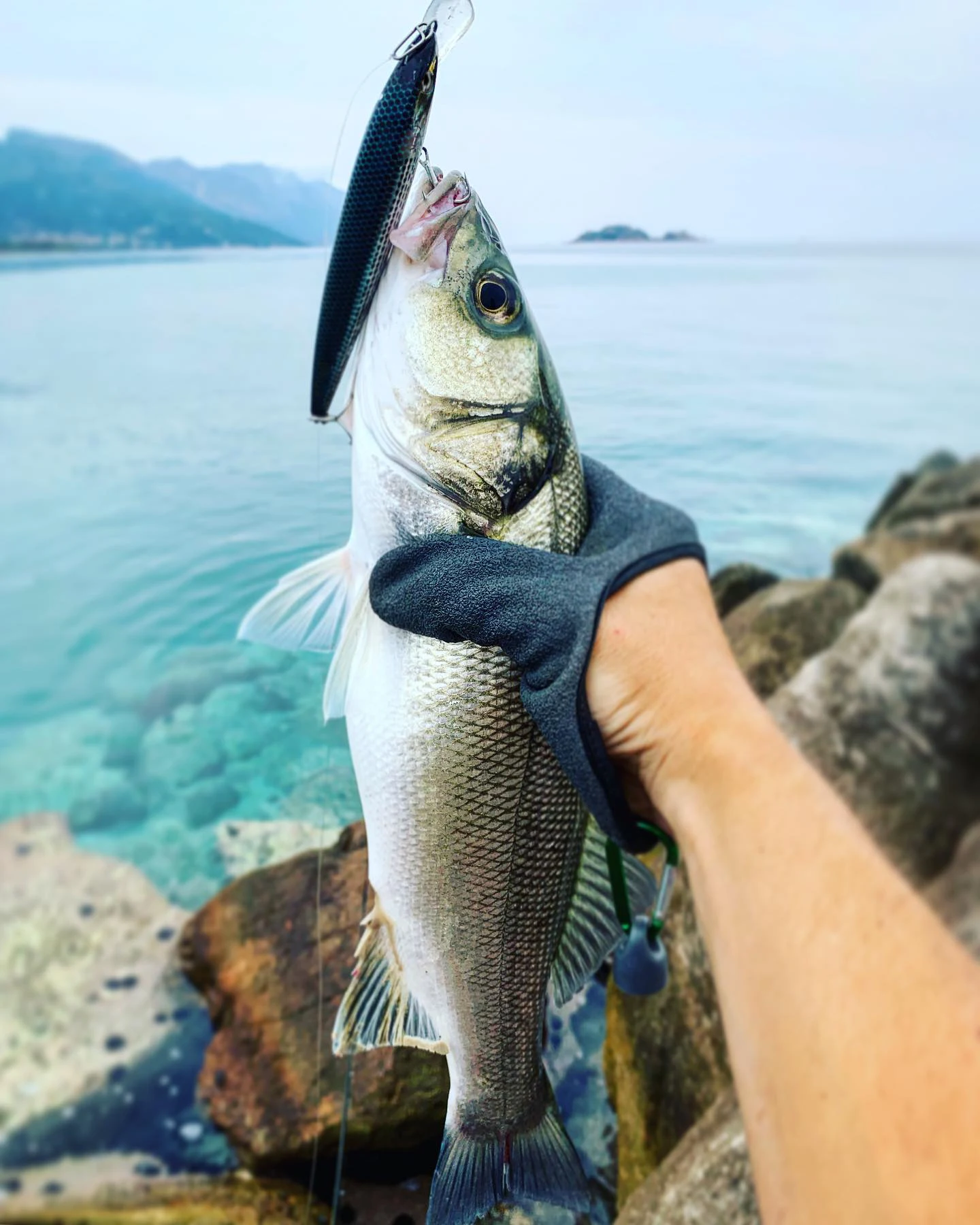 Señuelo D1 Minnow 130mm vista lateral