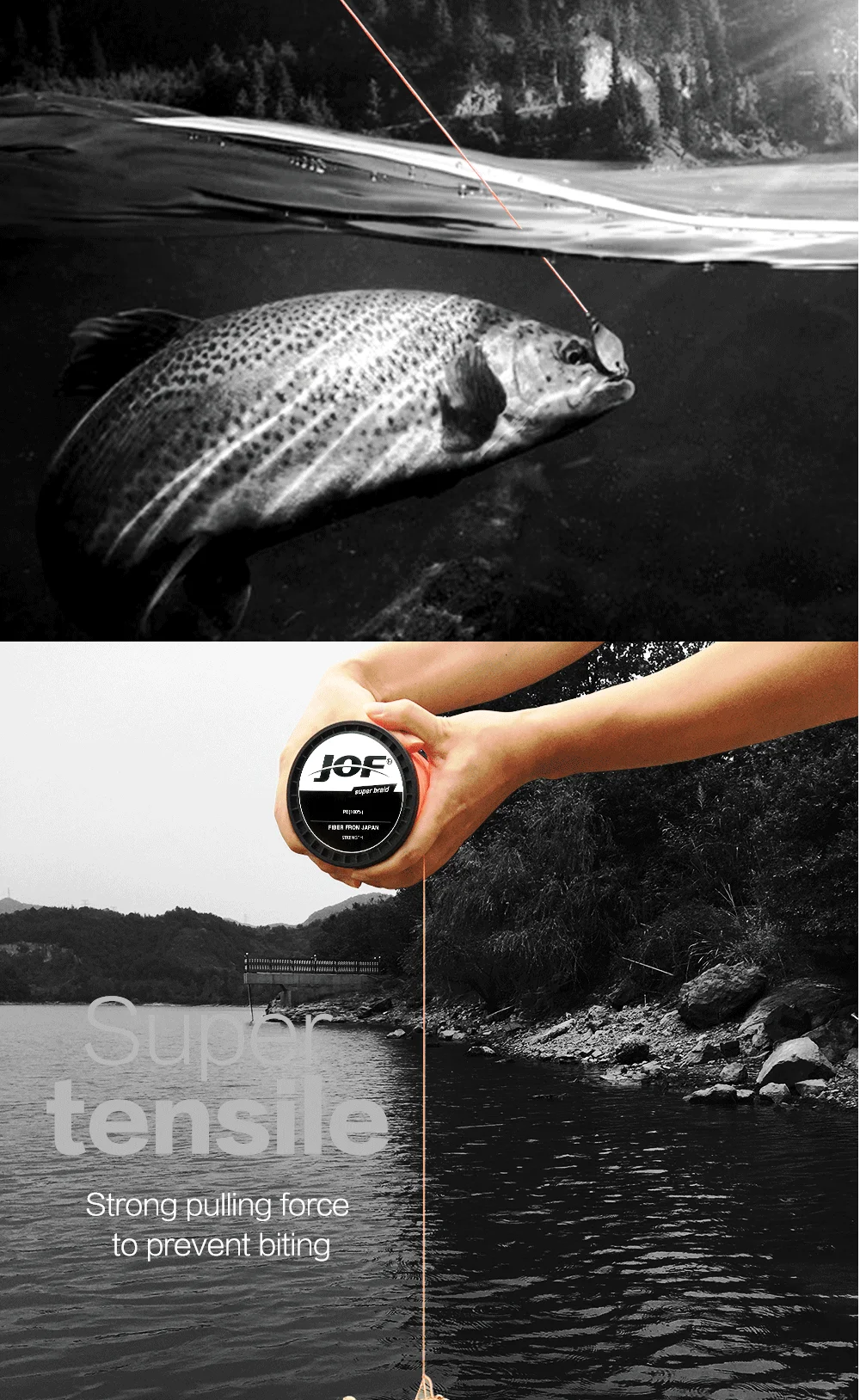 Aplicación del sedal en pesca de carpa