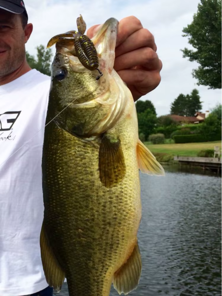 ESFISHING Señuelo de Silicona Platyfish – Crankbait Mar - imagen 5