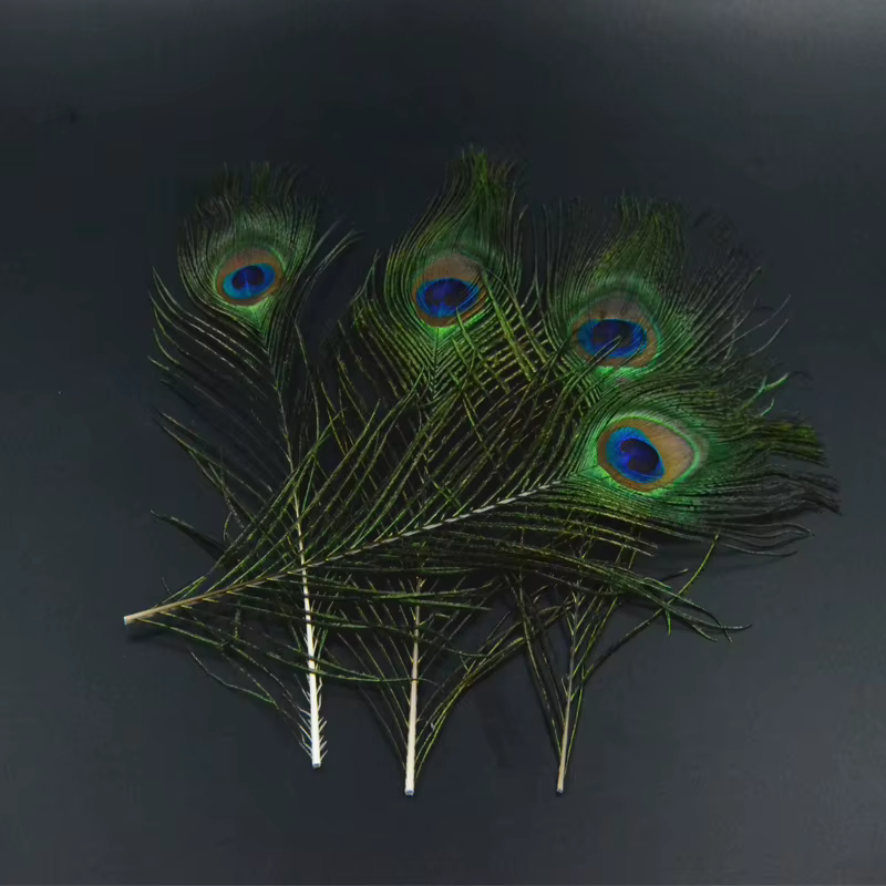 Herls y plumas cola pavo real atado moscas ninfas serpentinas