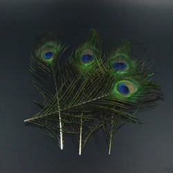 Herls y plumas cola pavo real atado moscas ninfas serpentinas