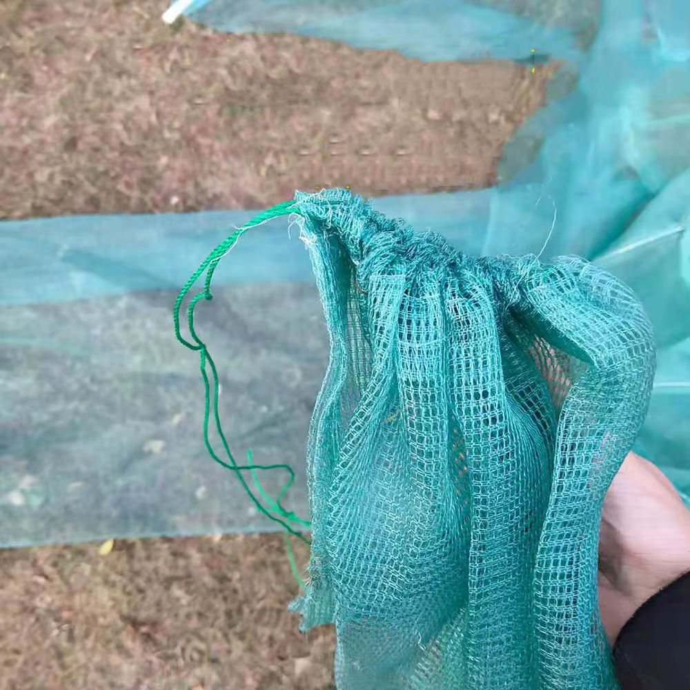Trampa Plegable Lawaia para Camarón – Malla antiescape - imagen 2