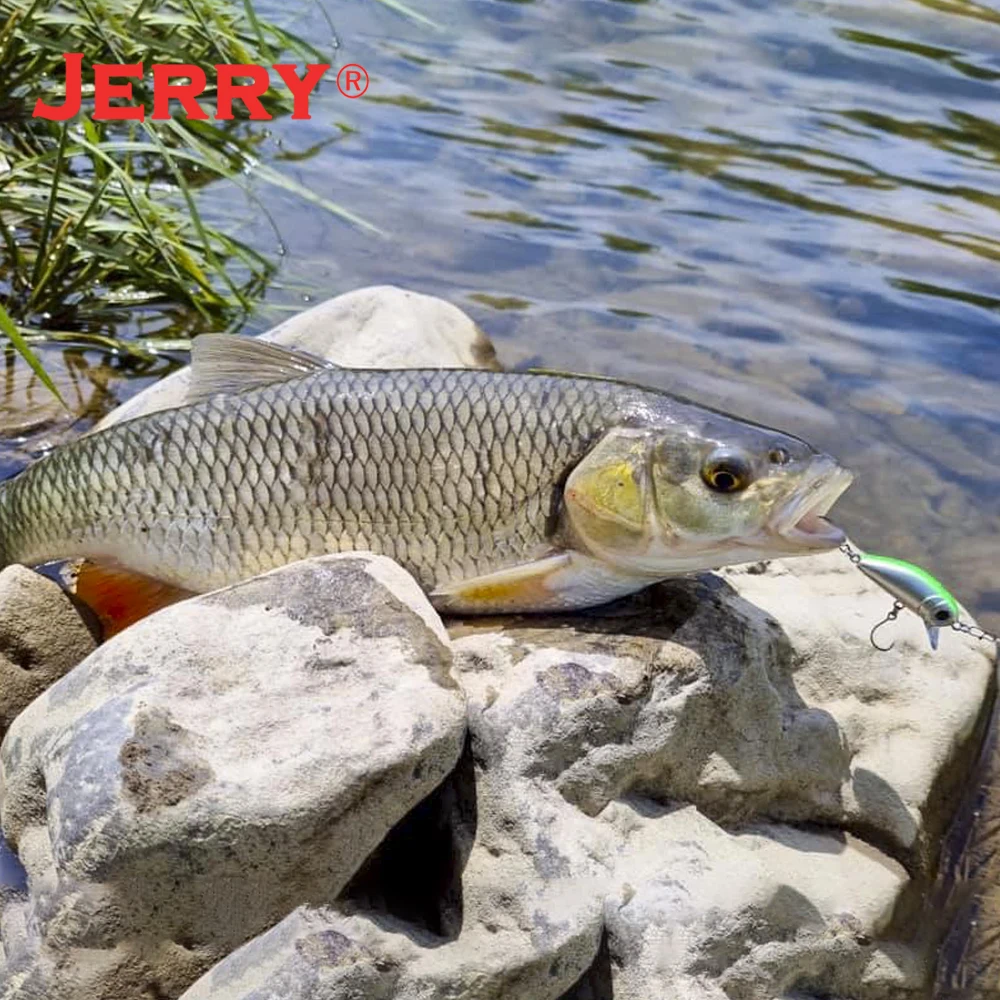 Jerry Prodigy Wobbler hundimiento lento para trucha y perca - imagen 2