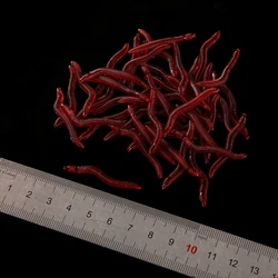 FSTK Señuelo blando lombriz roja realista para pesca
