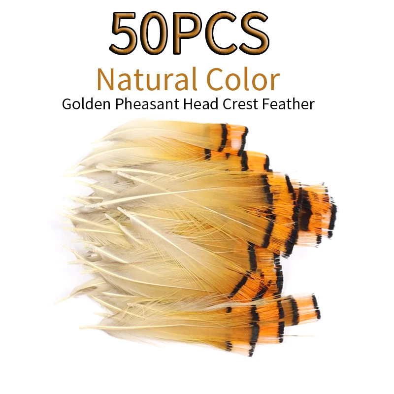 Wifreo Pluma Faisán Dorado Natural para Atar Moscas - imagen 5