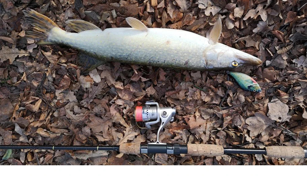 Silueta del glider jerkbait