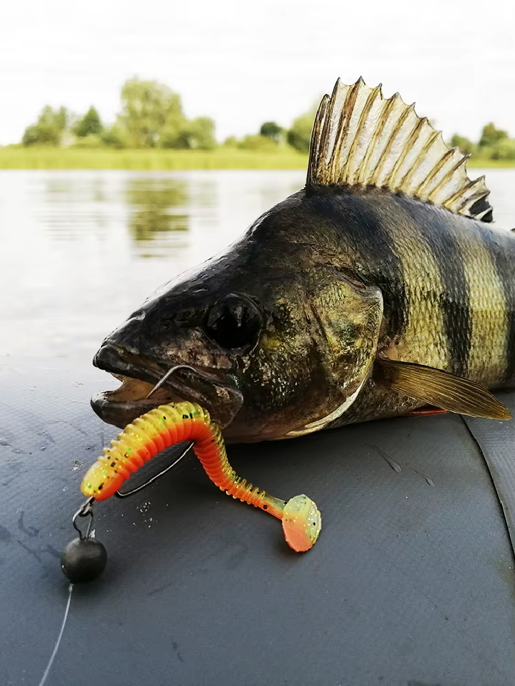 ESFISHING Swing Impact 100mm - Señuelo Shad Jigging para Lucio y Bass - imagen 5