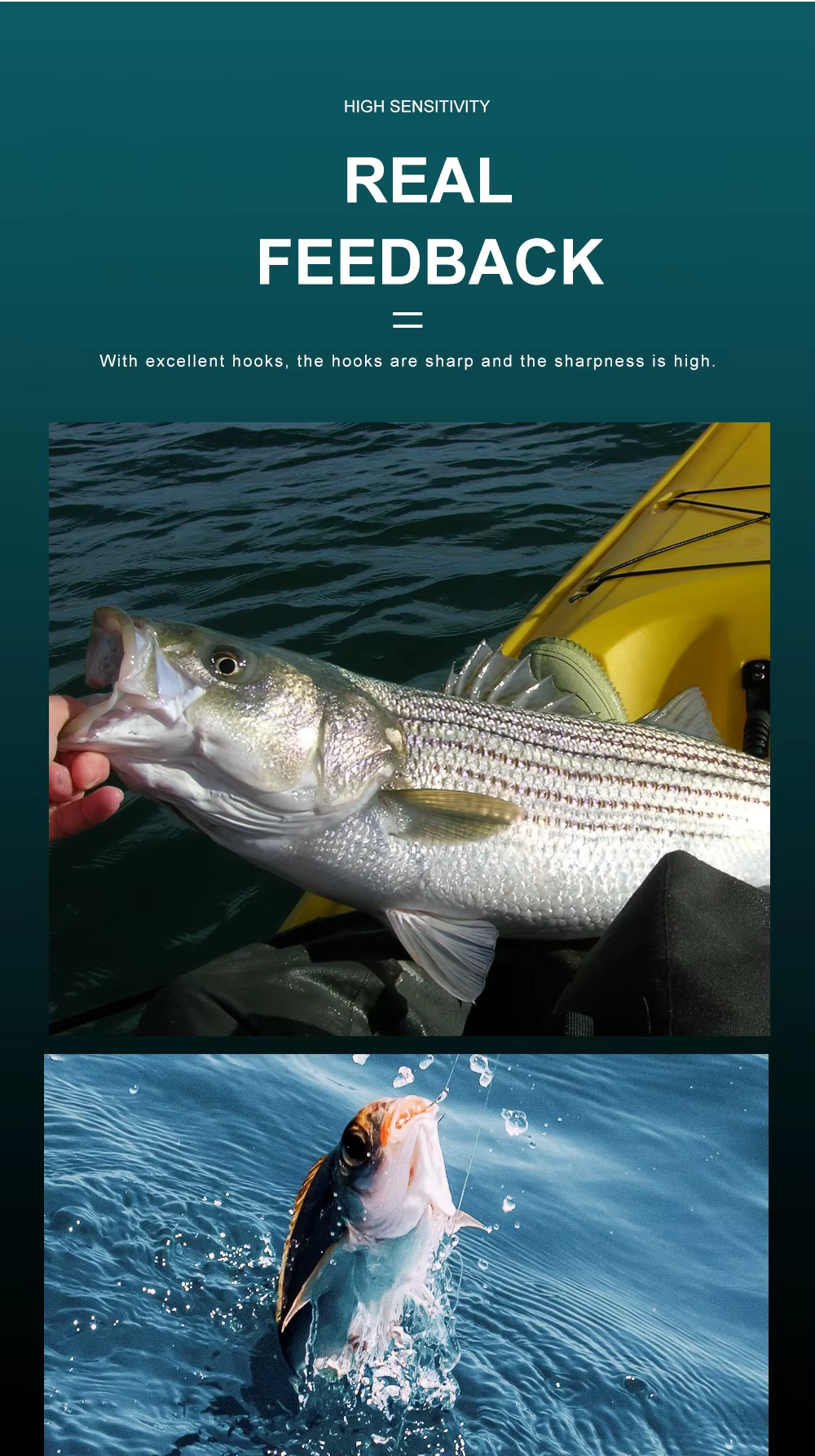 Anzuelos de pesca NGB expuestos en blister