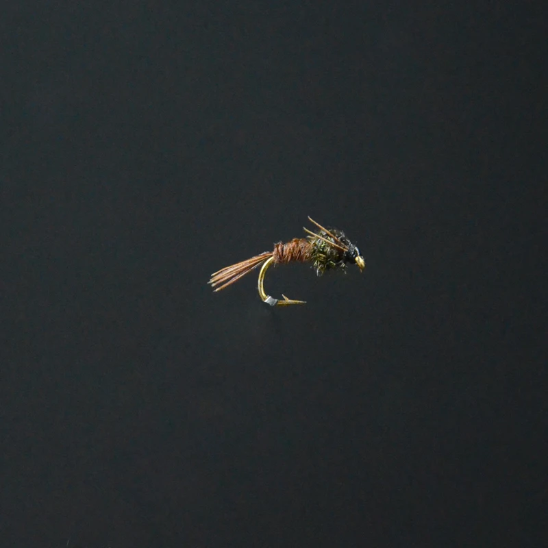 Ninfa Faisan Tail en detalle
