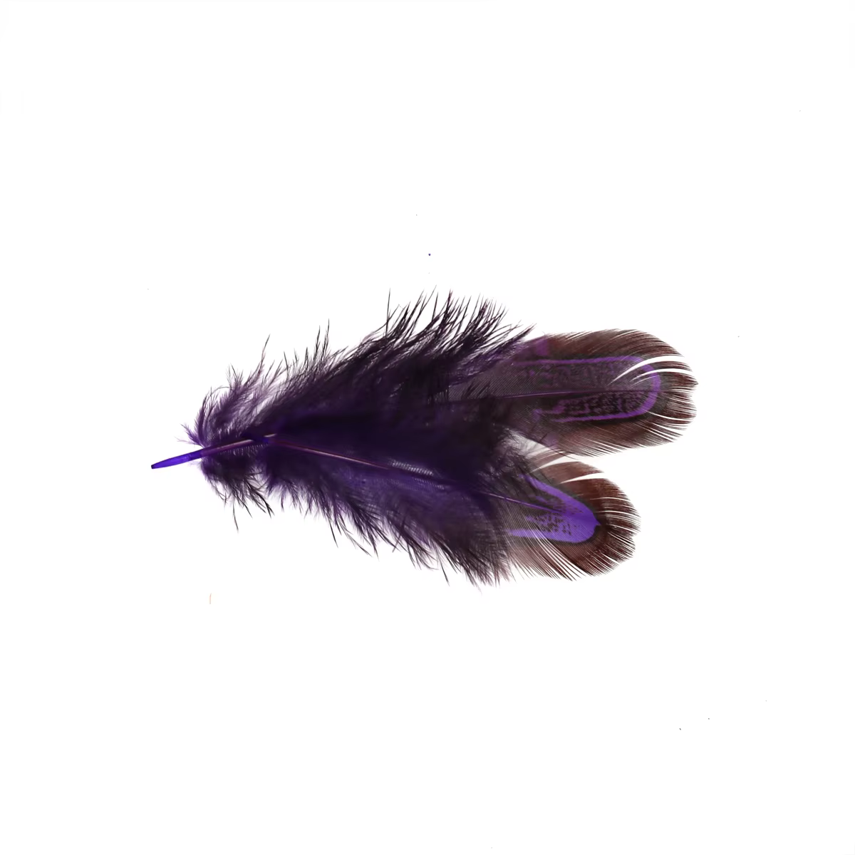 Plumas Partridge en tono oliva