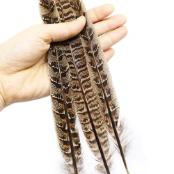 Persuader plumas Hen Pheasant marrón para moscas de trucha