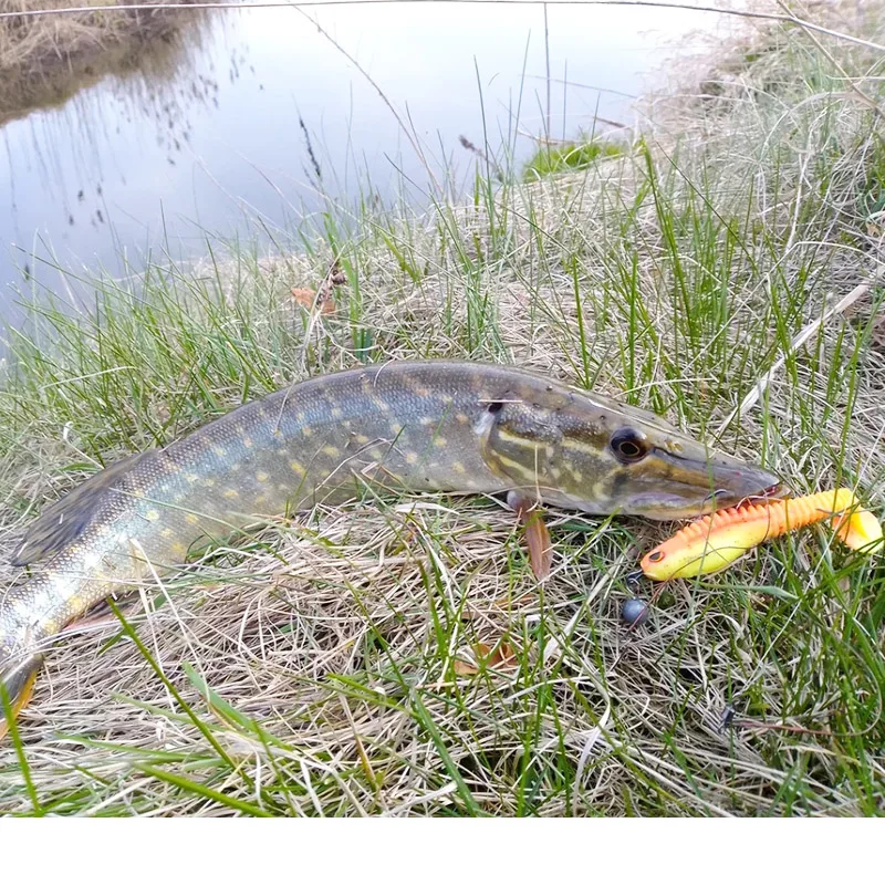 Variedad de colores disponibles