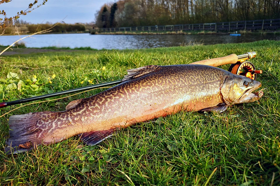 Carrete MAXIMUMCATCH Tail Series con acabado negro