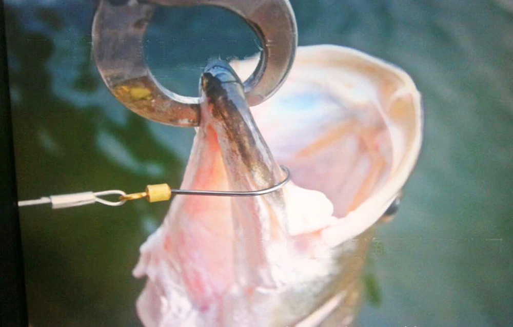 Pack de anzuelos giratorios 360° para pesca
