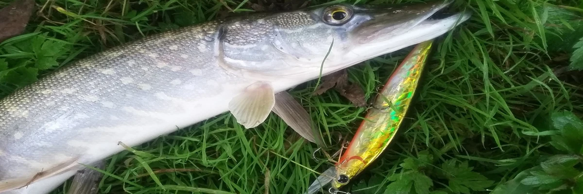 Volin Wobbler Minnow mostrando su diseño articulado y colores disponibles