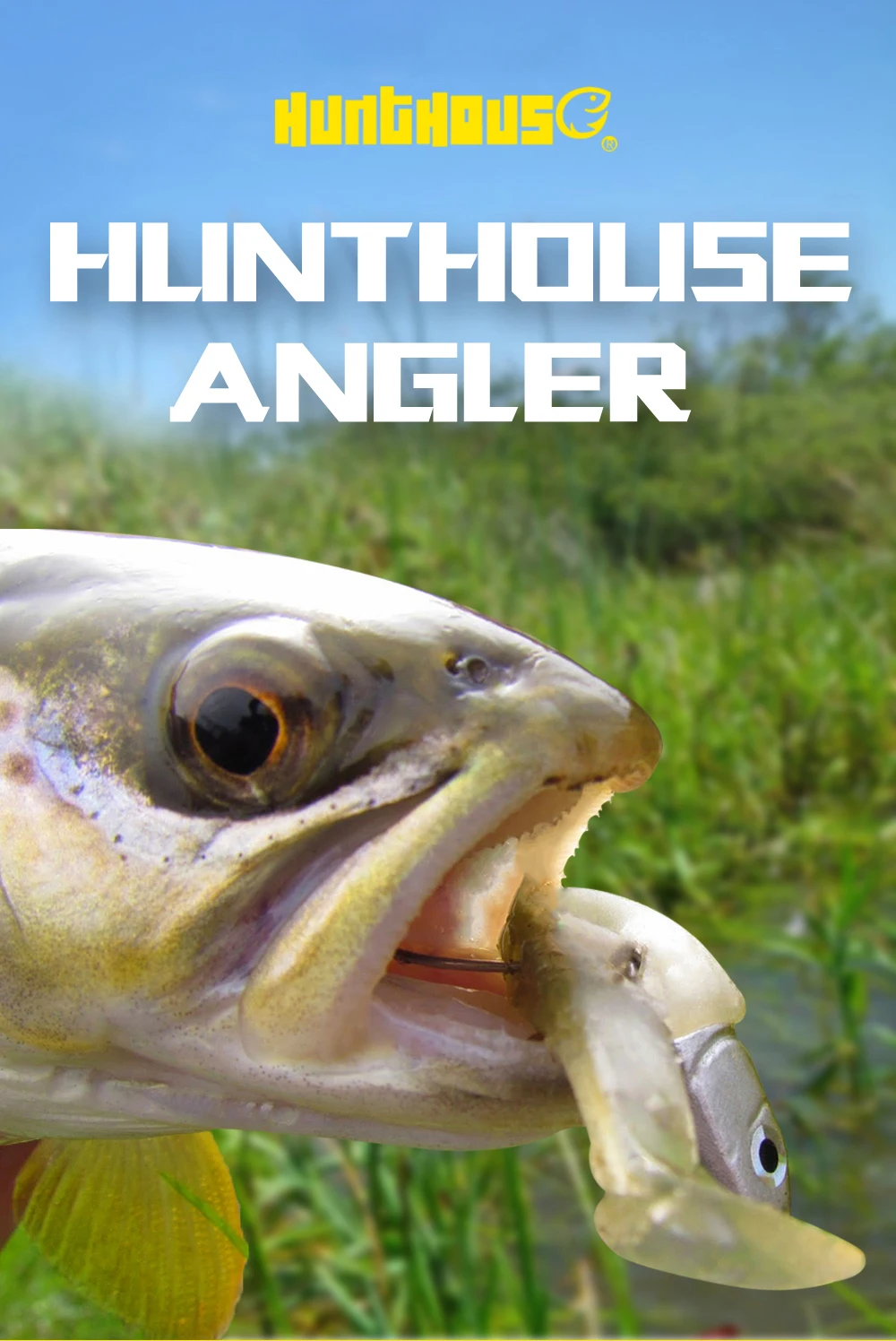 Hunthouse Barre T. señuelo Minnow en detalle