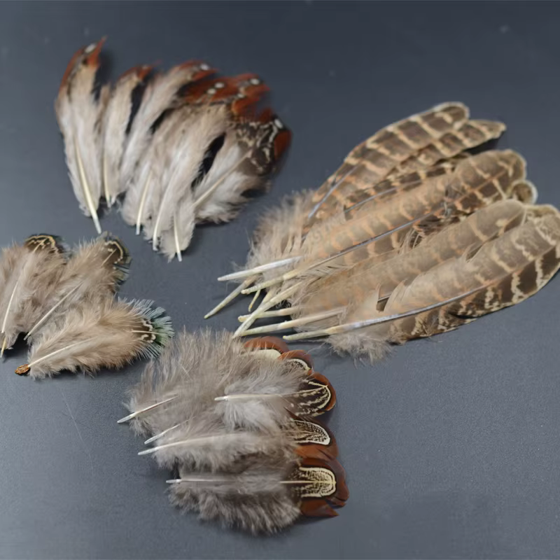 Plumas Faisán Ringneck para Atar Moscas – 4 Estilos Profesional