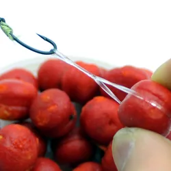 Bandas de cebo elásticas para pescar carpa
