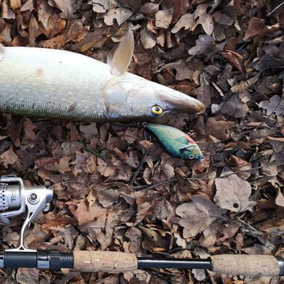 Crankbait Lipless Walk Fish para Lucio y Lubina - imagen 3