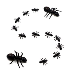 MNFT Señuelo Hormiga – Plástico Negro para Carpa y Dorada