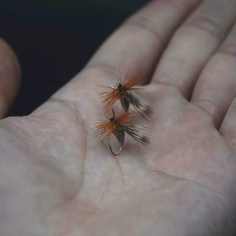 Dear Hair Sedge – Moscas secas para trucha imitación caddis - imagen 4