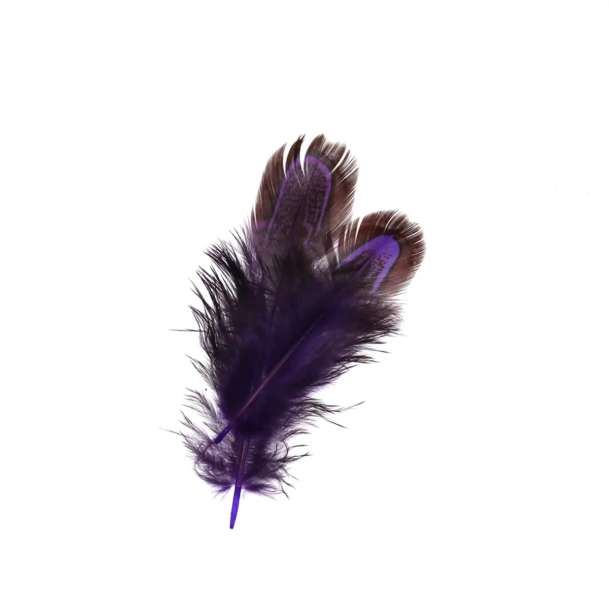 Plumas Partridge con moteado oscuro