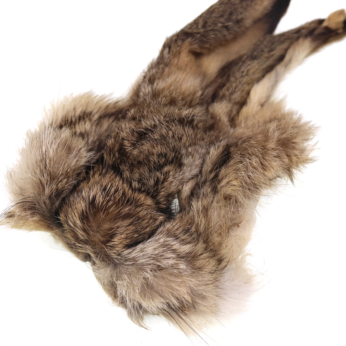 Mask de liebre - vista frontal