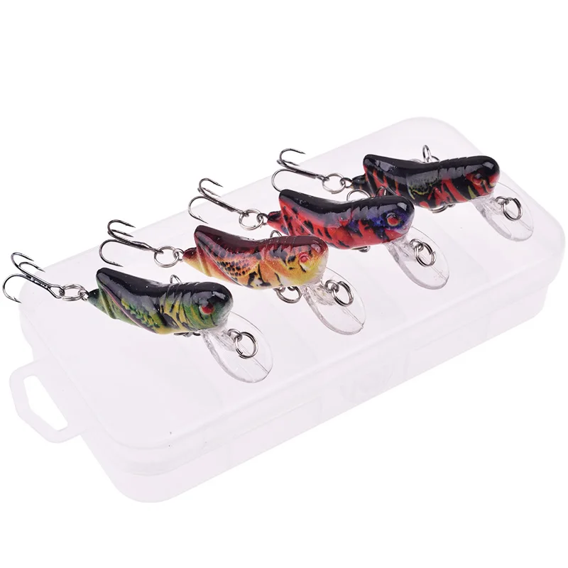 Señuelos de colores variados en caja