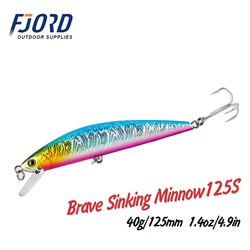 Fjord Brave Minnow Señuelo duro de plástico para pesca en mar