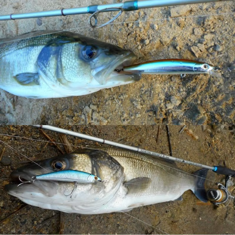 Hunthouse Artist Minnow 70mm Jerkbait – hundimiento rápido lubina - imagen 5