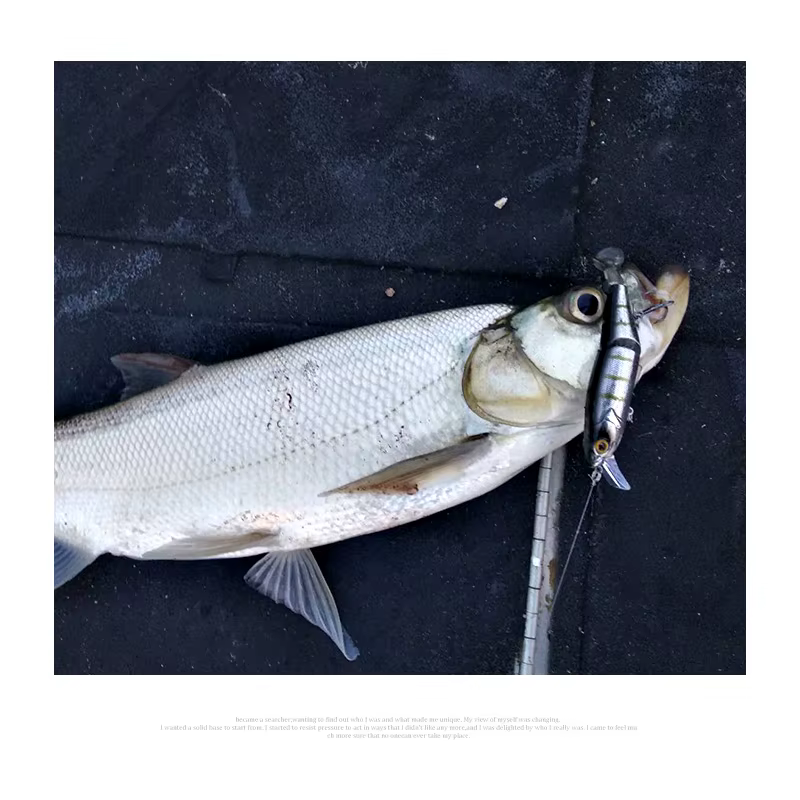 Kingdom Swimbait Multiarticulado Flotante para Trucha - imagen 3