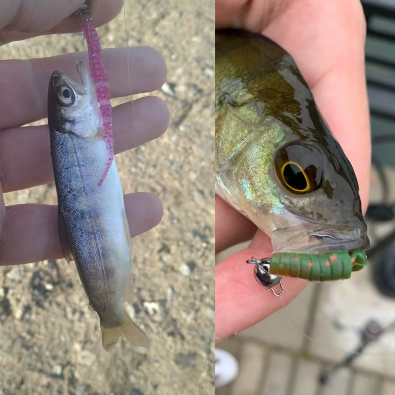 Polaris Señuelos para pesca en hielo con hundimiento rápido - imagen 5