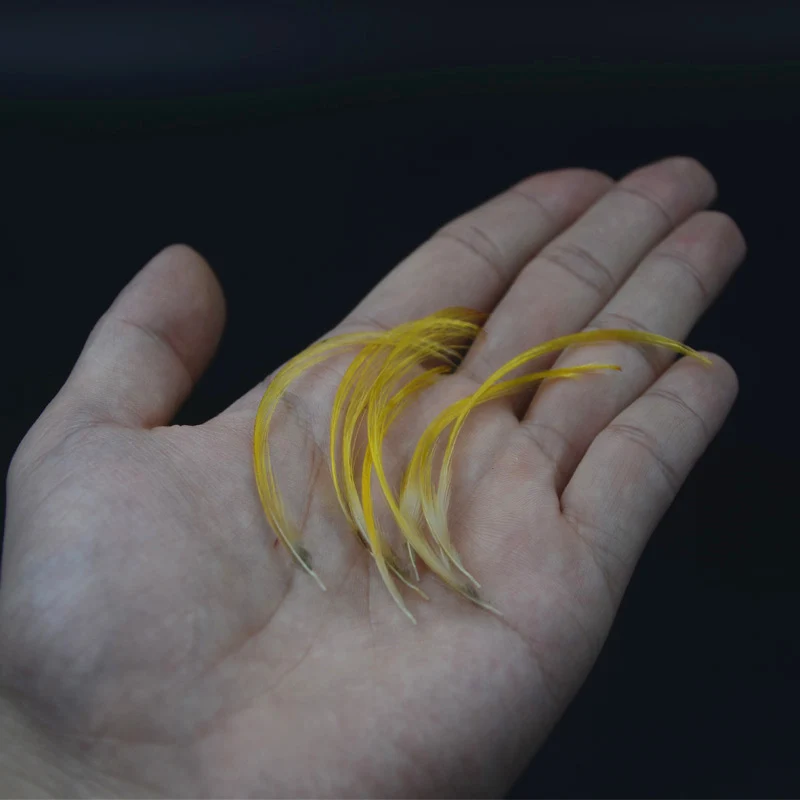 Plumas de faisán dorado paraatar moscas – Amarillo brillante 2-7cm - imagen 2
