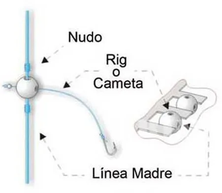Montaje de cuentas en aparejo