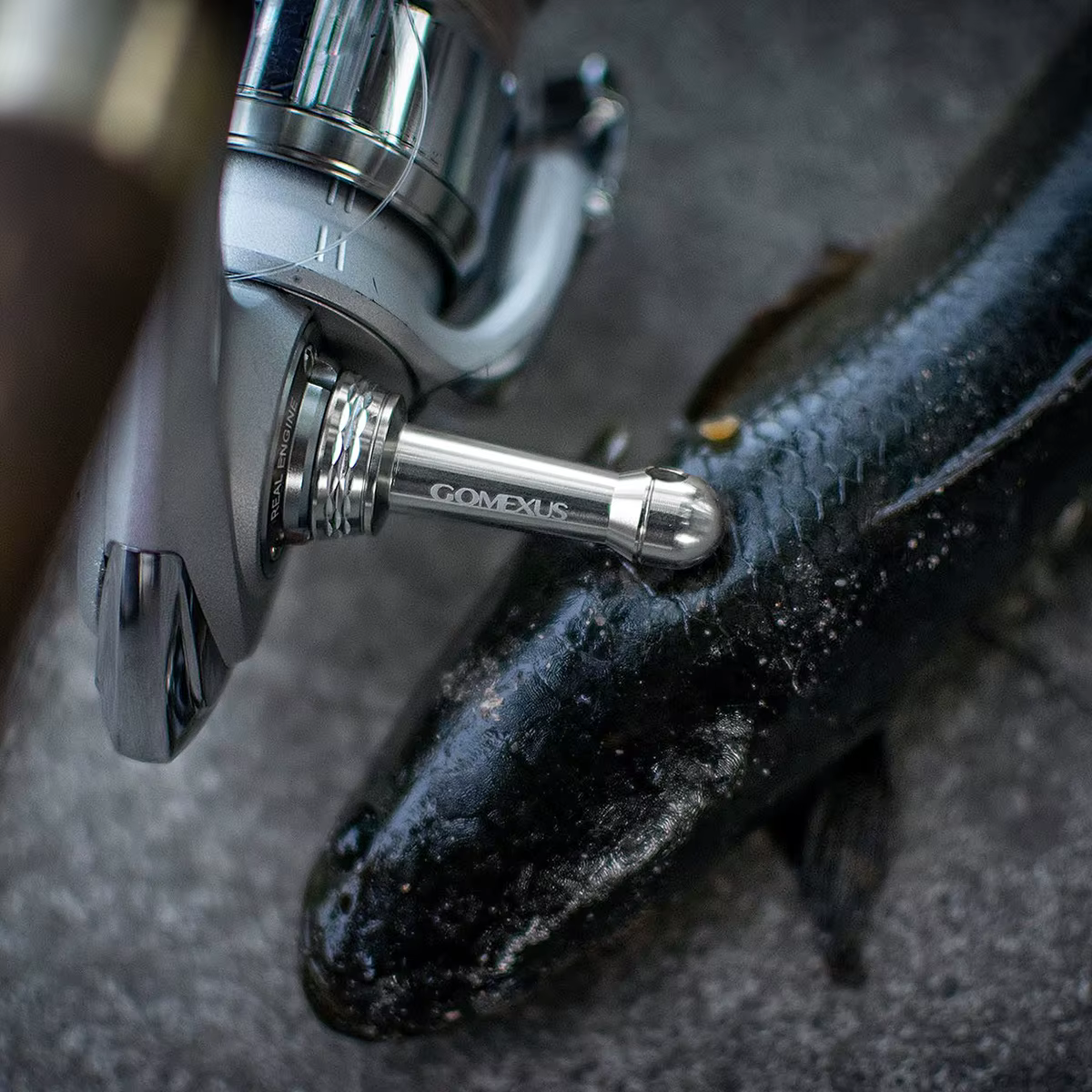 Gomexus R2 – Soporte Carrete Daiwa BG LT - imagen 3