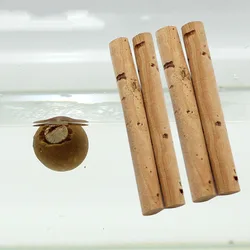 Boilies Zig 6mm y 8mm – Palo de corcho y aparejo Chod para carpa