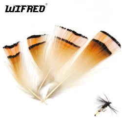Wifreo Pluma Faisán Dorado Natural para Atar Moscas