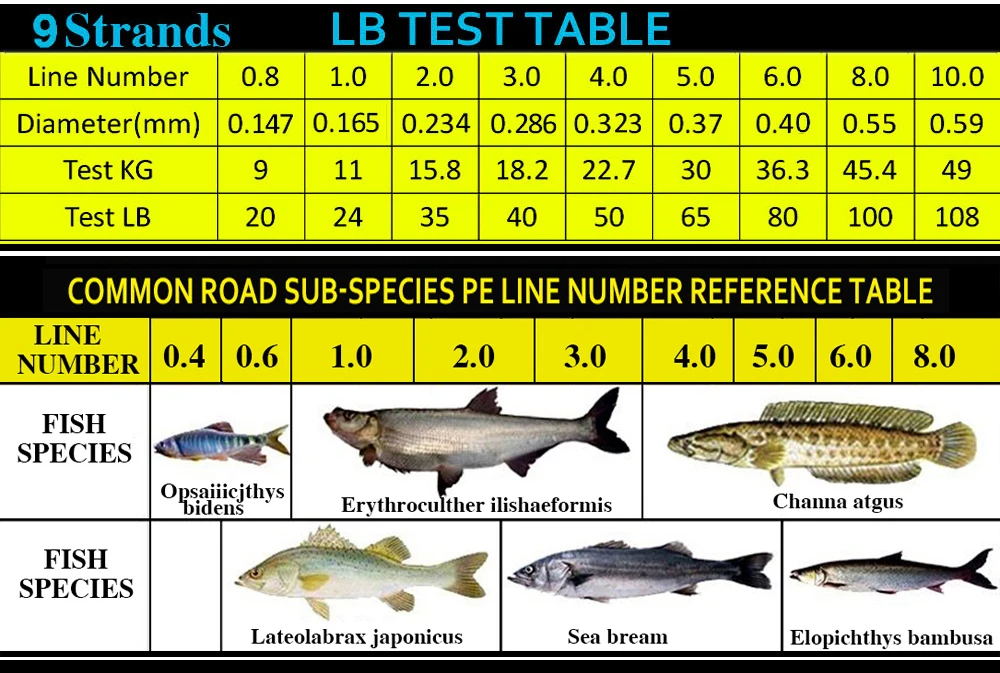 Comparativa de colores disponibles en carretes alineados