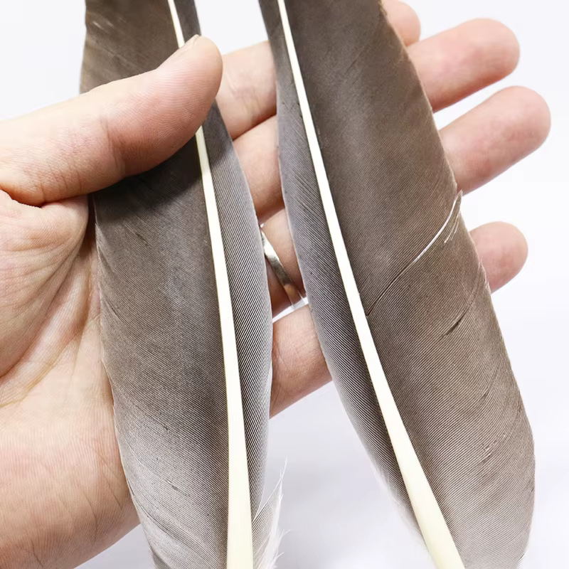 Plumas de Pato Persuader Grado A para Atado de Moscas - imagen 3