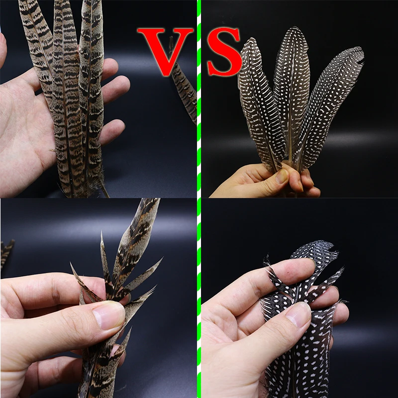 Plumas de cola de faisán y guinea en detalle