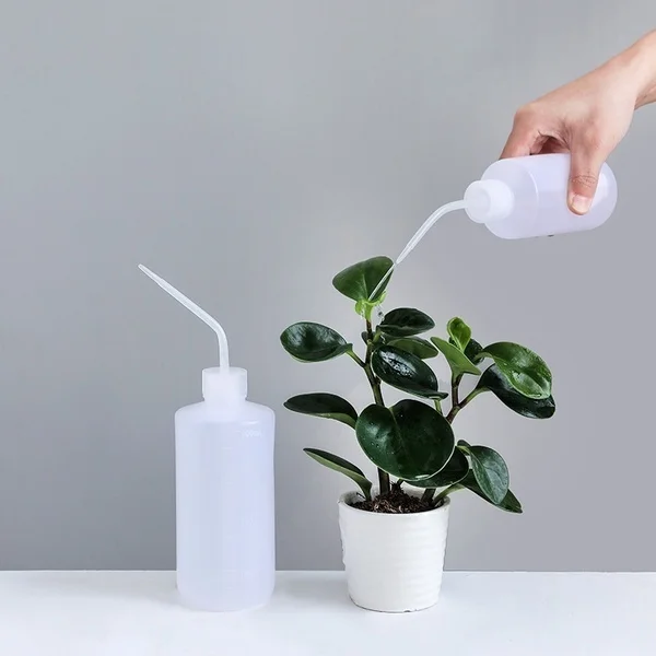 Rociador aplicando agua a una suculenta