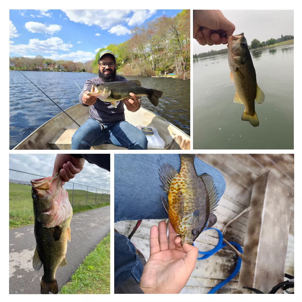 Spinpoler AJING Rockfish – Wobbler blando cola doble - imagen 4
